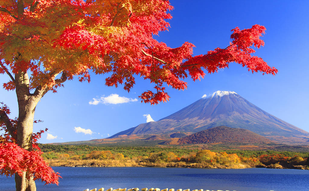 亚游集团·ag8(中国游)官网 -只為非同凡享