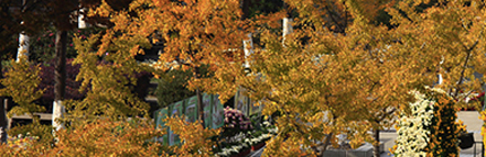 亚游集团·ag8(中国游)官网 -只為非同凡享