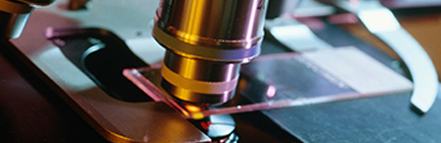 亚游集团·ag8(中国游)官网 -只為非同凡享